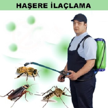Elbeyli Böcek İlaçlama